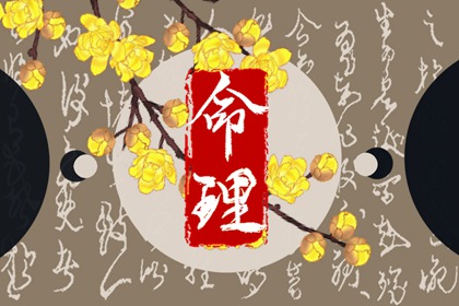 元亨紫微排盘|紫微详解命格|易百查紫薇排盘|五行命盘测算|命盘八字五行